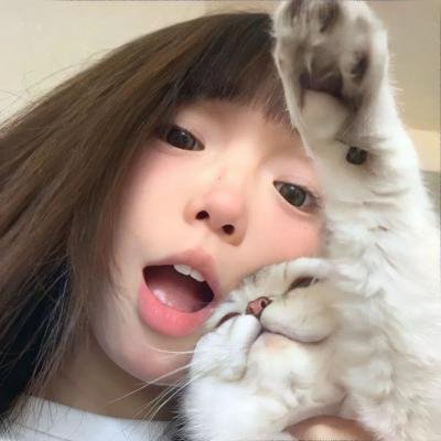 国王与小鸟